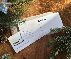 Voucher na kurs stolarski – Bensari Workshop