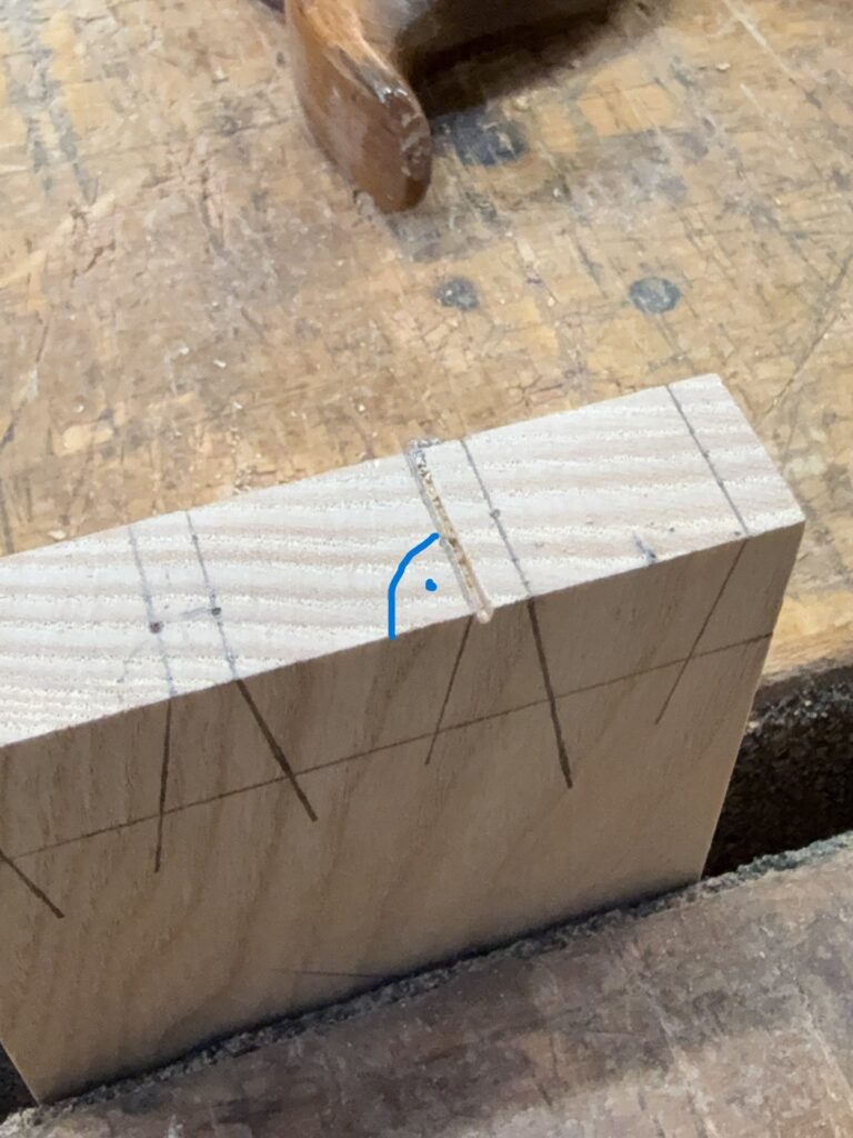 wczep jaskółczy ogon prawidłowe cięcie kąt prosty